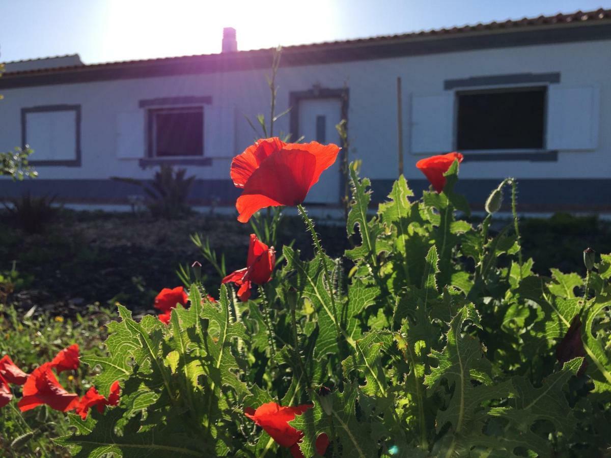 Holiday home Solar Da Cotovia *