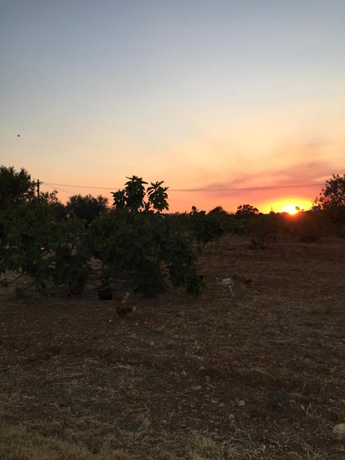 Holiday home Solar Da Cotovia Albufeira