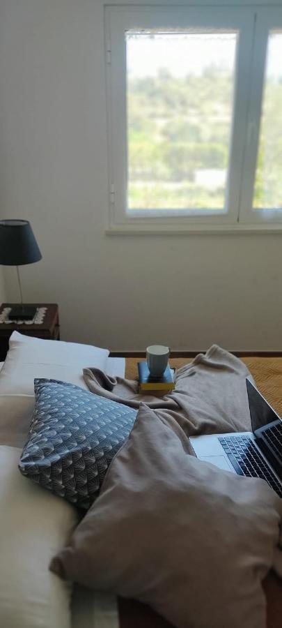 Holiday home Solar Da Cotovia