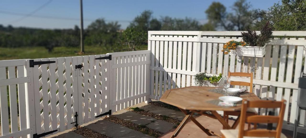 Solar Da Cotovia Holiday home *
