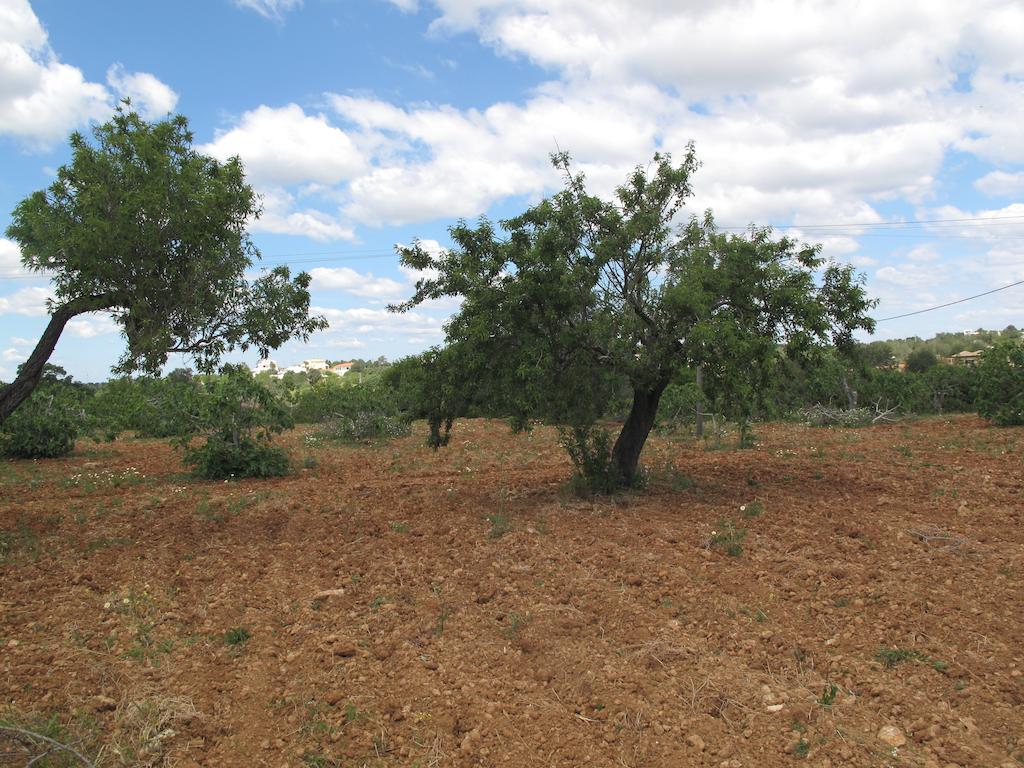 Solar Da Cotovia Albufeira