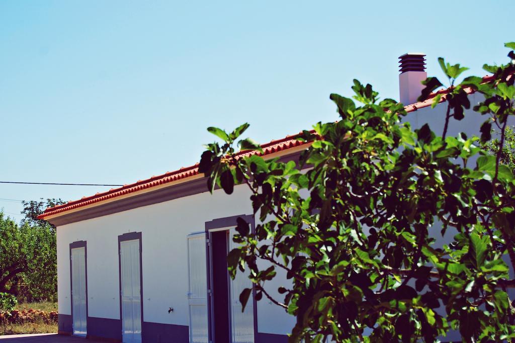 Solar Da Cotovia Holiday home *
